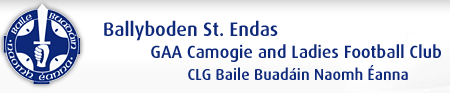 Ballyboden St Endas GAA Club